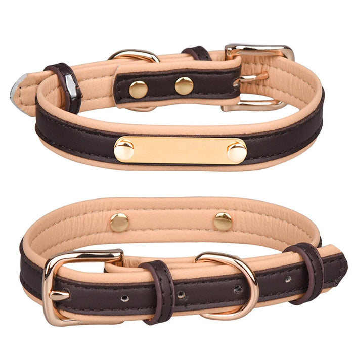 Personalized Leather Dog Collar